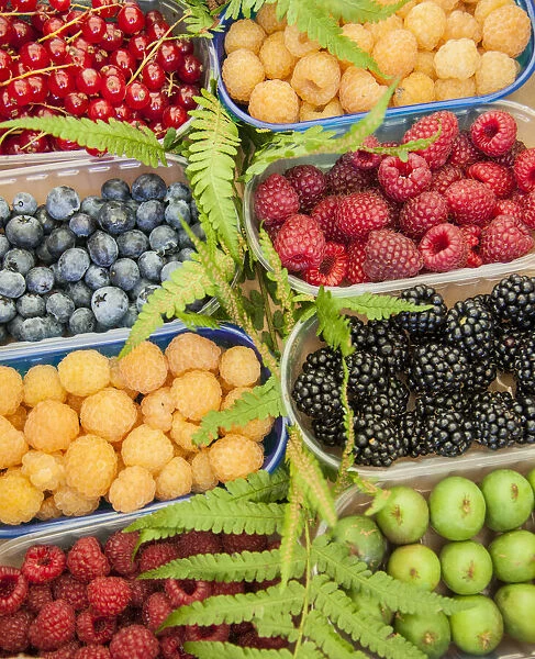 Italy, Venice. A variety of berries on display and for sale in the Rialto Market