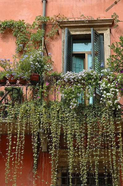 04. Italy, Verona, balcony garden in historic town center