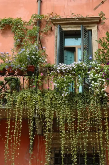 Framed Print : 04. Italy, Verona, balcony garden in historic town center Framed Print : 04. Italy, Verona, balcony garden in historic town center