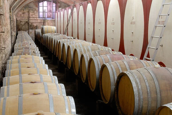 04. Italy, wine cellar of Poggi Winery near Bardolino (Editorial Usage Only)