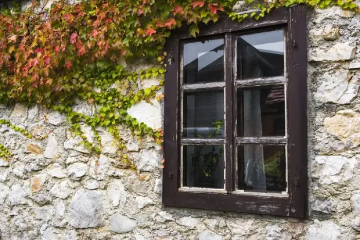 Framed Print : Ivy and window, Korana Village, Plitvice Lakes National Park, Croatia Framed Print : Ivy and window, Korana Village, Plitvice Lakes National Park, Croatia