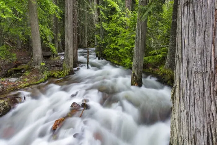 Framed Print : Jackson Creek in Glacier National Park, Montana, USA Framed Print : Jackson Creek in Glacier National Park, Montana, USA