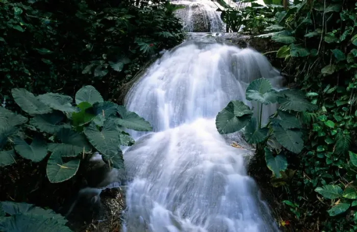 Framed Print : Jamaica, Ocho Rios, Shaw waterfalls Framed Print : Jamaica, Ocho Rios, Shaw waterfalls