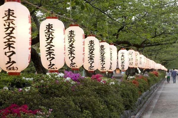 Japan, Honshu island, Kanagawa Prefecture, Kamakura, paper lanterns along road leading