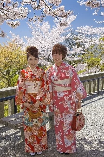 Japan, Honshu island, Kyoto, two women in kimonos under cherry blossom trees at Kiyomizudera Temple