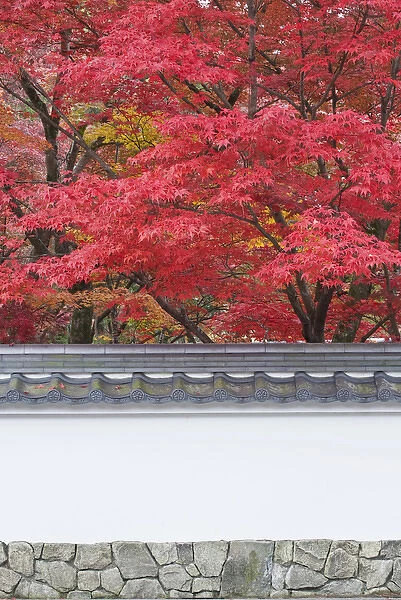 Japan, Kyoto, Autumn Color at Eikando Temple