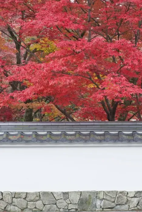 Framed Print : Japan, Kyoto, Autumn Color at Eikando Temple Framed Print : Japan, Kyoto, Autumn Color at Eikando Temple