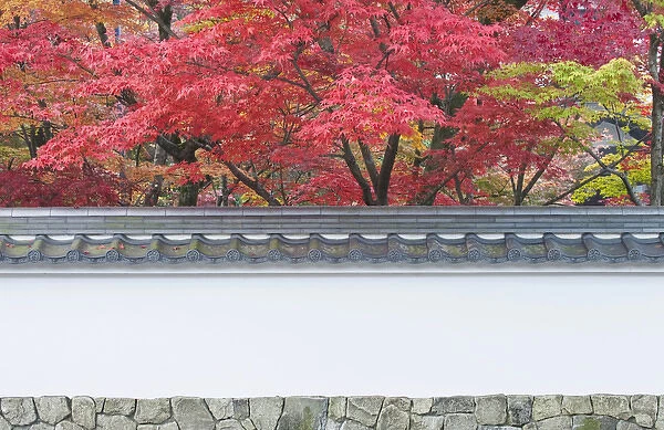 Japan, Kyoto, Autumn Color at Eikando Temple