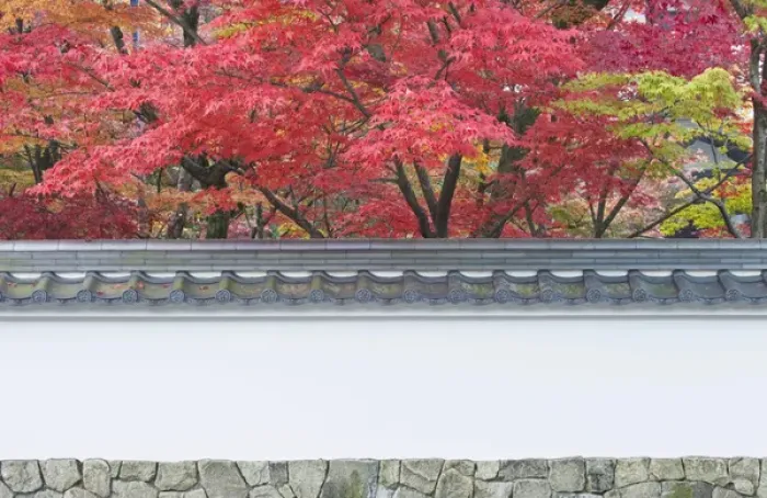 Framed Print : Japan, Kyoto, Autumn Color at Eikando Temple Framed Print : Japan, Kyoto, Autumn Color at Eikando Temple