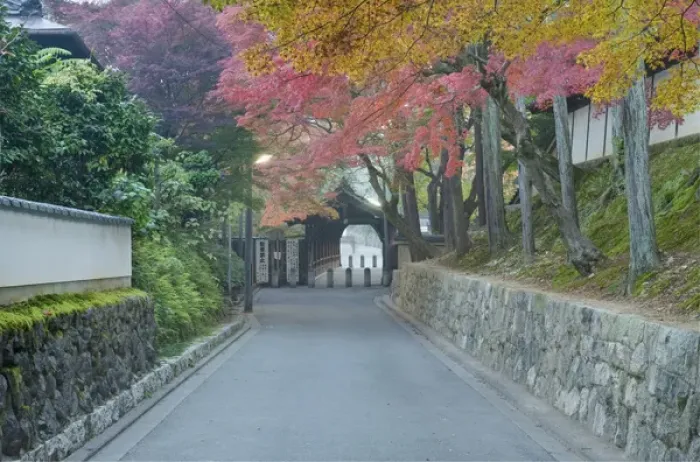 Framed Print : Japan, Kyoto, Autumn Color at Tofukuji Temple