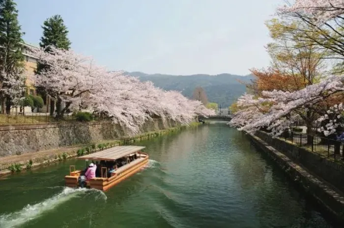 Framed Print : Japan, Kyoto. Flower