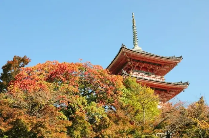 Framed Print : Japan, Kyoto. Kiyomizu temple in Autumn color Framed Print : Japan, Kyoto. Kiyomizu temple in Autumn color