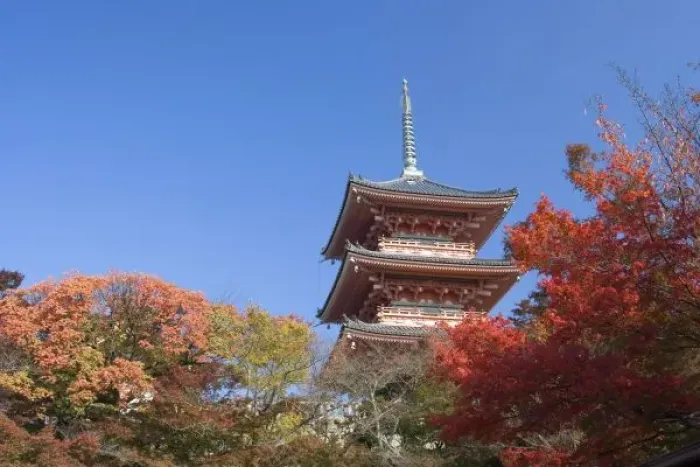 Framed Print : Japan, Kyoto, Pagoda in Autumn colour Framed Print : Japan, Kyoto, Pagoda in Autumn colour
