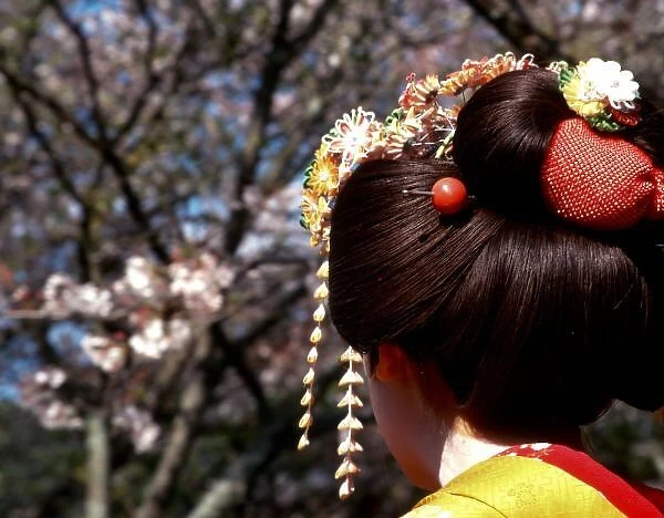 Japan, Kyoto. Rear view close-up of geishas head on Philosophers Path. Credit as