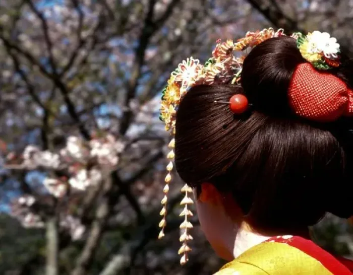 Framed Print : Japan, Kyoto. Rear view close-up of geishas head on Philosophers Path. Credit as