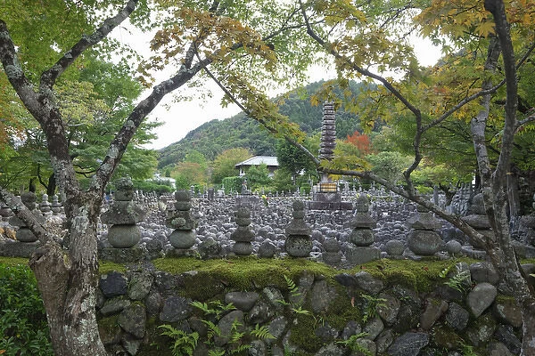 Japan, Kyoto. Thousands of Buddhist statuettes memorialize the souls of the dead