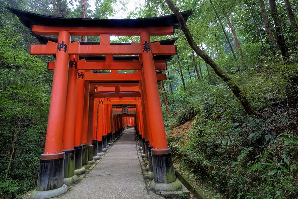 Japan, Kyoto. Torii Gates in the Fushimi-Inari-Taisha Shinto Shrine