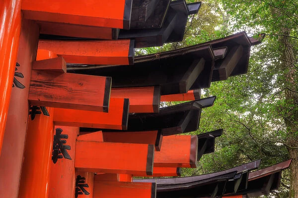 Japan, Kyoto. View of Torii Gates in the Fushimi-Inari-Taisha Shinto Shrine. Credit as