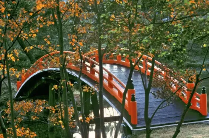 Framed Print : Japan, Nara Pref. Nara. The Royal Bridge glows through the autumn foliage in Nara, Japan