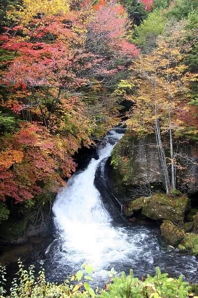 Japan, Nikko. Ryuzu Falls, Nikko National Park, in full fall color