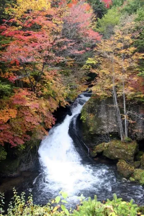 Framed Print : Japan, Nikko. Ryuzu Falls, Nikko National Park, in full fall color Framed Print : Japan, Nikko. Ryuzu Falls, Nikko National Park, in full fall color