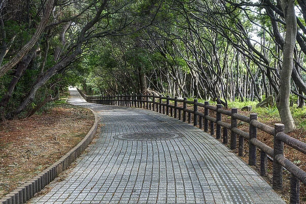 Japan, Wakagama Prefecture. Brick pathway near the Sandanbeki Cliffs
