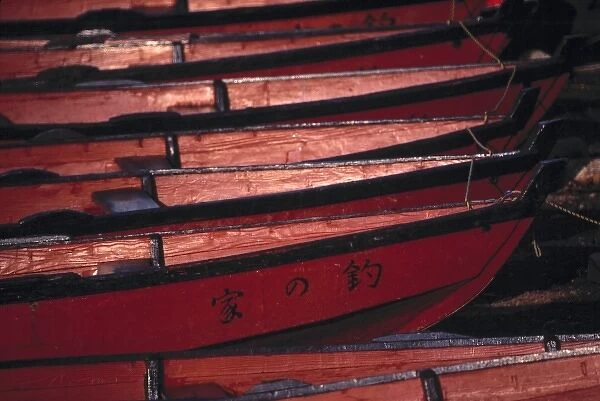 Japan, Yamanashi Pref. Lake Kawaguchi. Vivid red boats are moored on Lake Kawaguchi