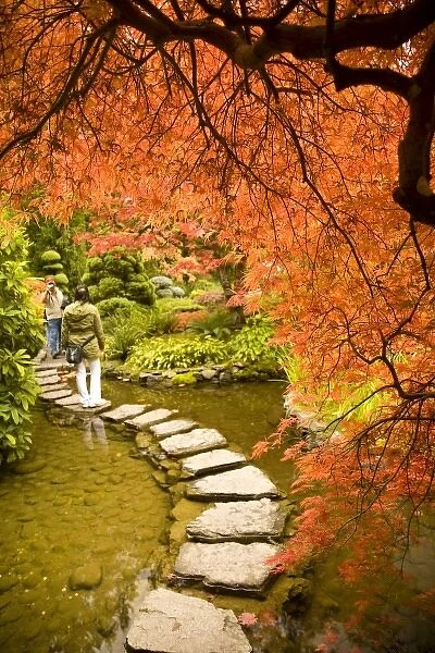 The Japanese Garden, Autumn Colors, Butchart Gardens, National Historic Site of Canada