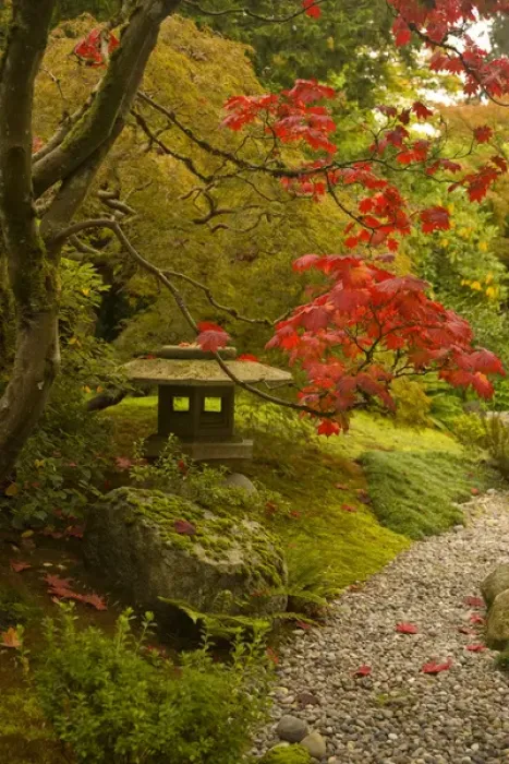 Framed Print : Japanese Garden, Washinton Park, Autumn Colors, Seattle, Washington State, USA