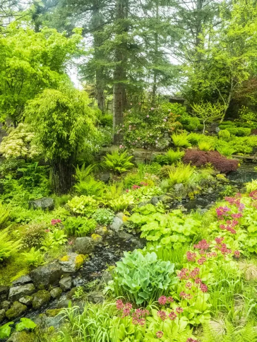 Framed Print : Japanese gardens and stream with bridge Framed Print : Japanese gardens and stream with bridge