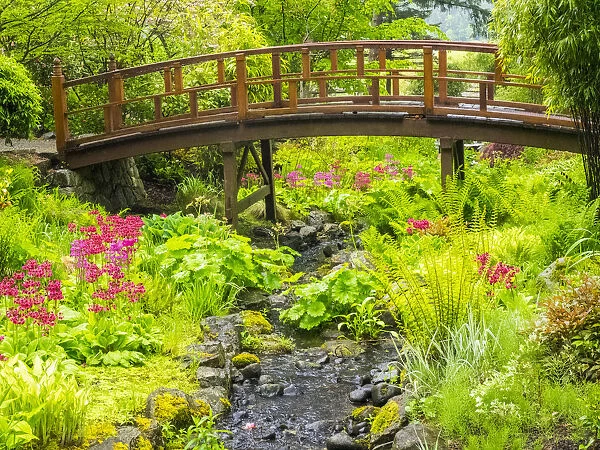 Japanese gardens and stream with bridge