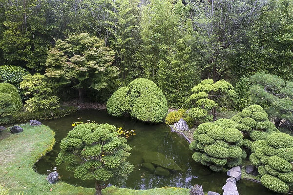 Japanese Tea Garden, Golden Gate Park, San Francisco, California, United States