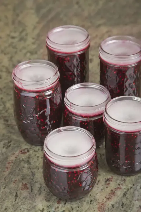 Framed Print : Jars of blackberry jam with the household wax (paraffin) mostly solidified on top to act as a seal