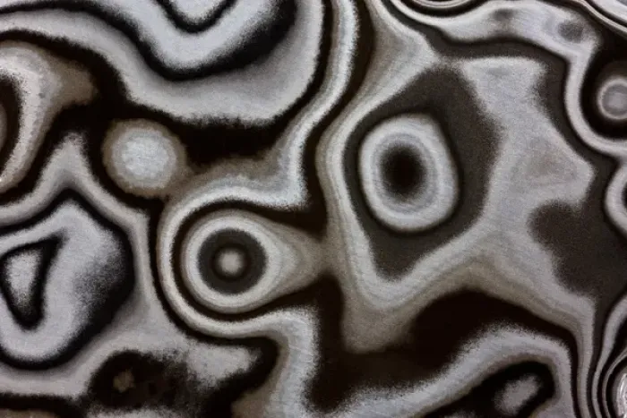 Framed Print : Jasper