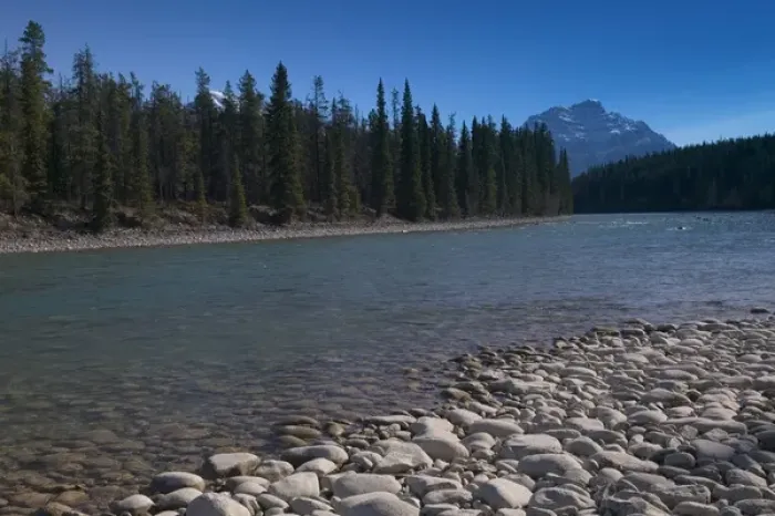 Framed Print : 02. Canada, Alberta, Jasper National Park: JASPER, Athabasca River View