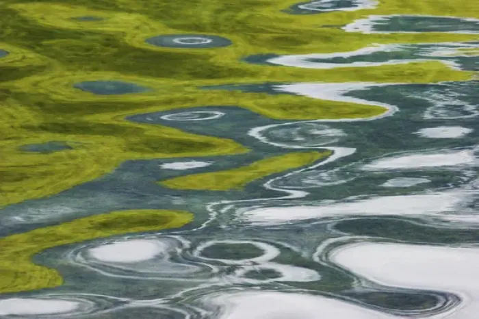 Framed Print : Jasper National Park; Abstract Reflections Framed Print : Jasper National Park; Abstract Reflections