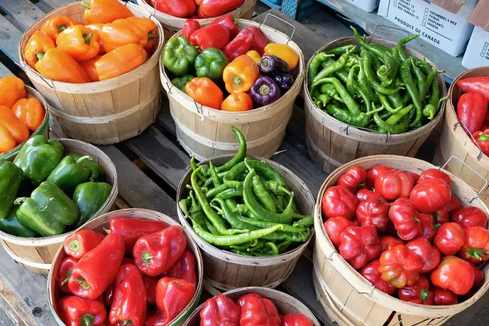 Framed Print : Jean-Talon Market, large public market in Little Italy section of Montreal opened in 1933, peppers and tomatoes Framed Print : Jean-Talon Market, large public market in Little Italy section of Montreal opened in 1933, peppers and tomatoes