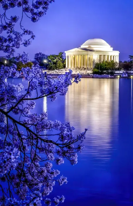 Framed Print : The Jefferson Memorial with cherry blossoms at the Tidal Basin, Washington DC Framed Print : The Jefferson Memorial with cherry blossoms at the Tidal Basin, Washington DC