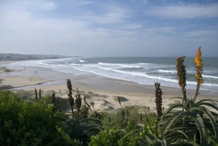 Framed Print : Jeffreys Bay, South Africa. Stunning stretches of beach at Jeffreys Bay Framed Print : Jeffreys Bay, South Africa. Stunning stretches of beach at Jeffreys Bay