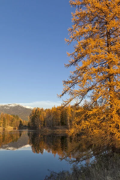 Jessup Mill Pond in autumn with snow capped Swan Mountains near Creston, Montana, USA