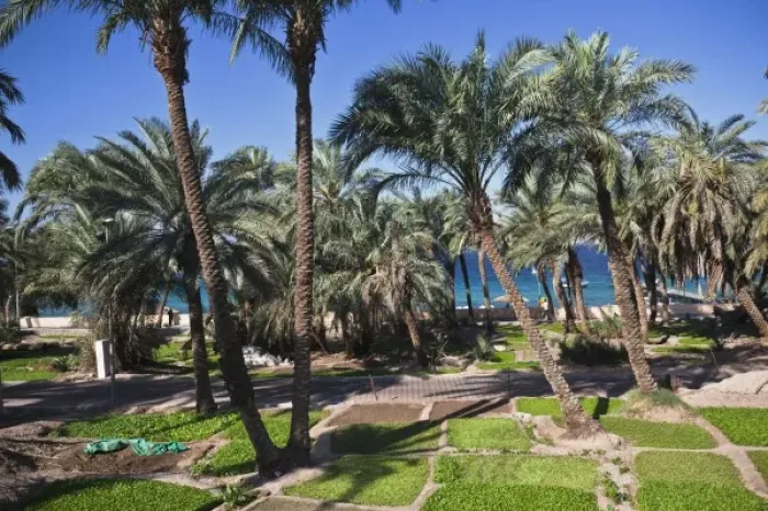 Framed Print : Jordan, Aqaba, Aqaba Beach, Corniche gardens