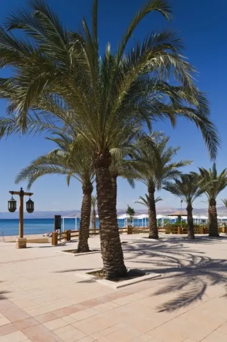 Framed Print : Jordan, Aqaba, Beach Walkway by Red Sea