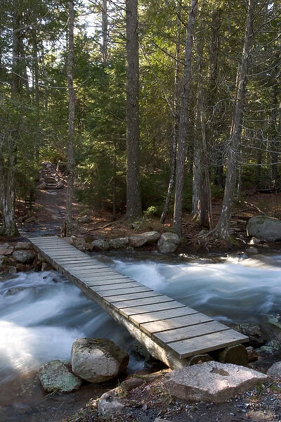 Jordan Stream after heavy rains in spring. Acadia National Park in Maine