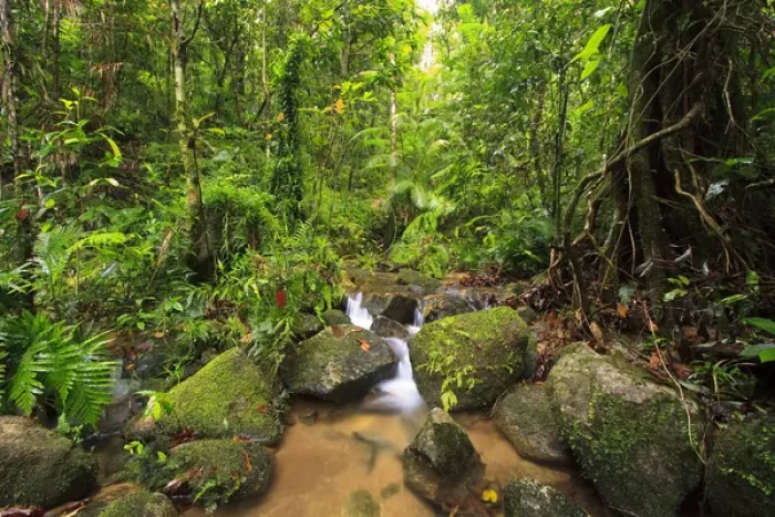 Framed Print : Josephine Falls is one of the most popular sets of waterfalls on the south side of Cairns Framed Print : Josephine Falls is one of the most popular sets of waterfalls on the south side of Cairns