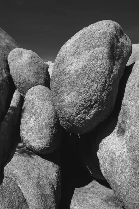 Framed Print : Joshua Tree National Park, California Framed Print : Joshua Tree National Park, California