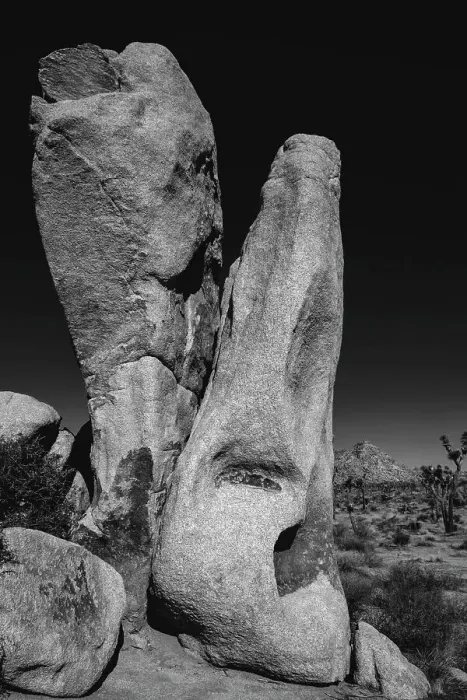 Framed Print : Joshua Tree National Park, California Framed Print : Joshua Tree National Park, California
