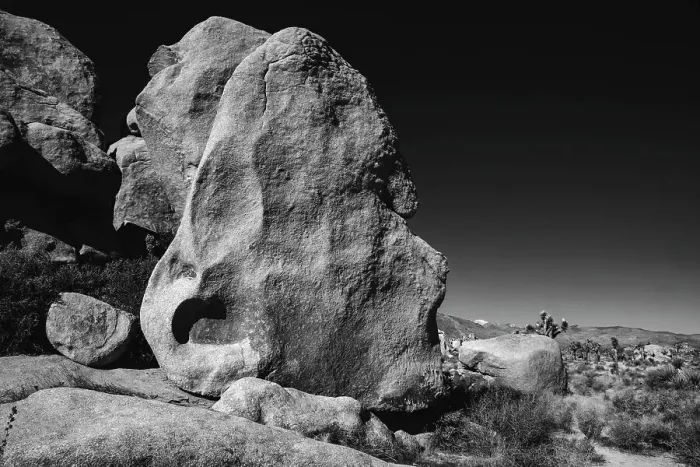 Framed Print : Joshua Tree National Park, California Framed Print : Joshua Tree National Park, California