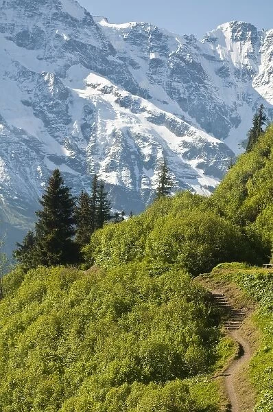 Jungfrau Region, Switzerland. Alping trail near Murren