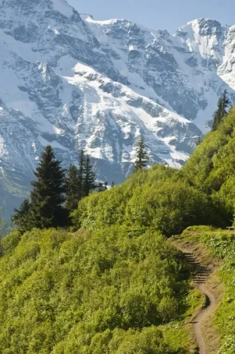 Framed Print : Jungfrau Region, Switzerland. Alping trail near Murren Framed Print : Jungfrau Region, Switzerland. Alping trail near Murren