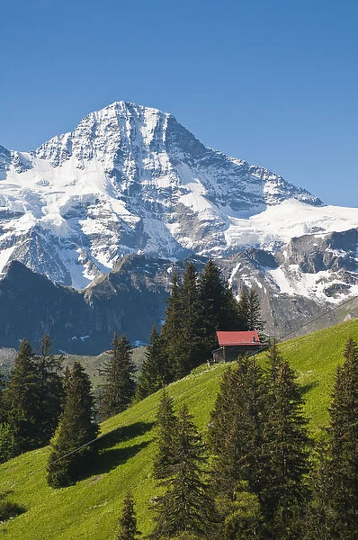 Jungfrau Region, Switzerland. Jungfrau massif and Swiss chalet near Murren